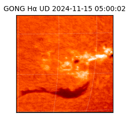 gong - 2024-11-15T05:00:02