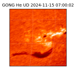 gong - 2024-11-15T07:00:02