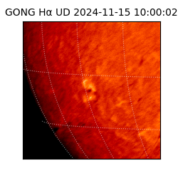 gong - 2024-11-15T10:00:02