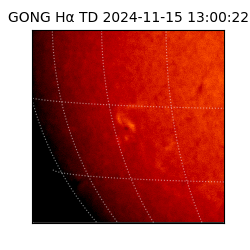 gong - 2024-11-15T13:00:22
