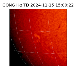 gong - 2024-11-15T15:00:22