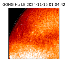 gong - 2024-11-15T01:04:42