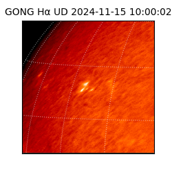 gong - 2024-11-15T10:00:02