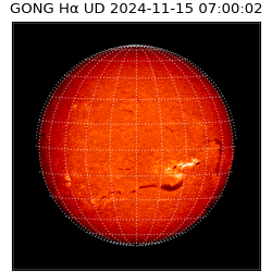 gong - 2024-11-15T07:00:02