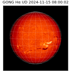 gong - 2024-11-15T08:00:02