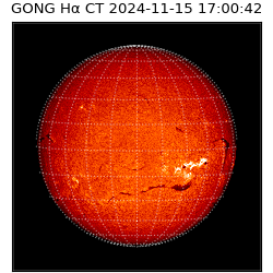 gong - 2024-11-15T17:00:42