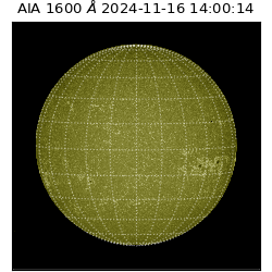 saia - 2024-11-16T14:00:14.125000