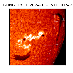gong - 2024-11-16T01:01:42