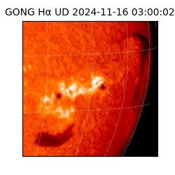 gong - 2024-11-16T03:00:02