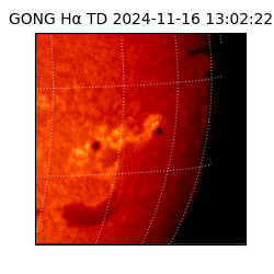 gong - 2024-11-16T13:02:22