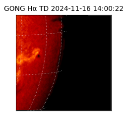 gong - 2024-11-16T14:00:22