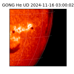 gong - 2024-11-16T03:00:02