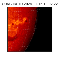 gong - 2024-11-16T13:02:22