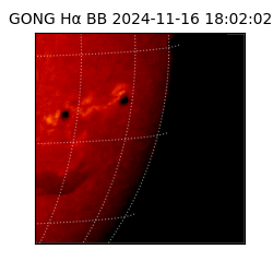 gong - 2024-11-16T18:02:02
