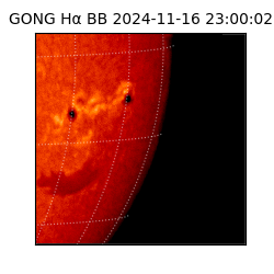gong - 2024-11-16T23:00:02