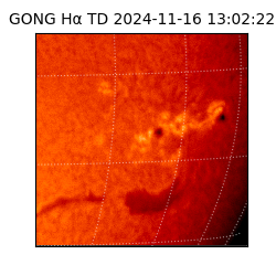 gong - 2024-11-16T13:02:22