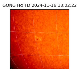gong - 2024-11-16T13:02:22