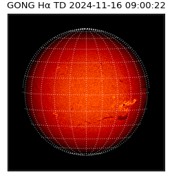 gong - 2024-11-16T09:00:22