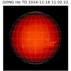 gong - 2024-11-16T11:02:22