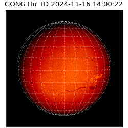 gong - 2024-11-16T14:00:22