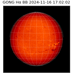 gong - 2024-11-16T17:02:02