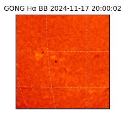 gong - 2024-11-17T20:00:02