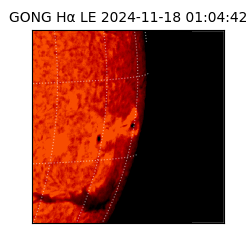 gong - 2024-11-18T01:04:42
