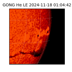 gong - 2024-11-18T01:04:42