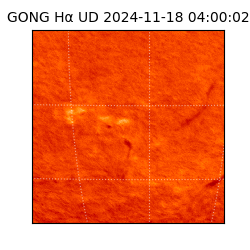 gong - 2024-11-18T04:00:02