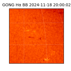 gong - 2024-11-18T20:00:02