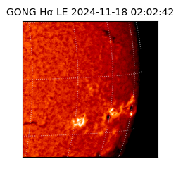 gong - 2024-11-18T02:02:42