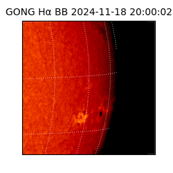gong - 2024-11-18T20:00:02