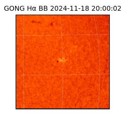 gong - 2024-11-18T20:00:02