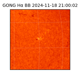 gong - 2024-11-18T21:00:02