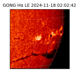 gong - 2024-11-18T02:02:42