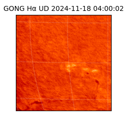 gong - 2024-11-18T04:00:02