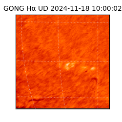 gong - 2024-11-18T10:00:02