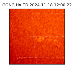 gong - 2024-11-18T12:00:22