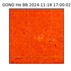 gong - 2024-11-18T17:00:02