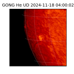 gong - 2024-11-18T04:00:02