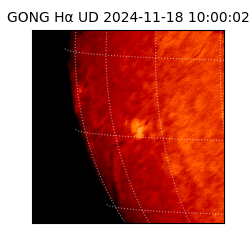 gong - 2024-11-18T10:00:02