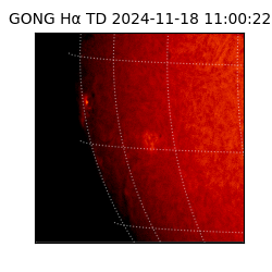 gong - 2024-11-18T11:00:22