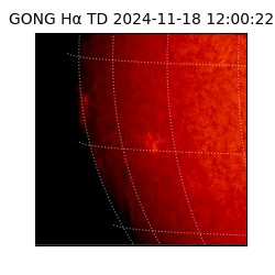 gong - 2024-11-18T12:00:22