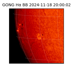 gong - 2024-11-18T20:00:02