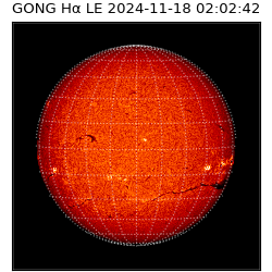 gong - 2024-11-18T02:02:42