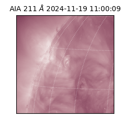 saia - 2024-11-19T11:00:09.634000