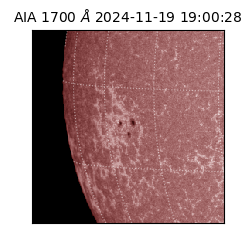 saia - 2024-11-19T19:00:28.717000