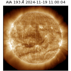 saia - 2024-11-19T11:00:04.843000