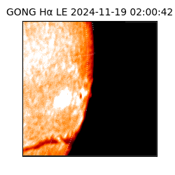 gong - 2024-11-19T02:00:42