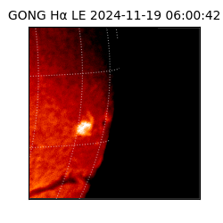 gong - 2024-11-19T06:00:42